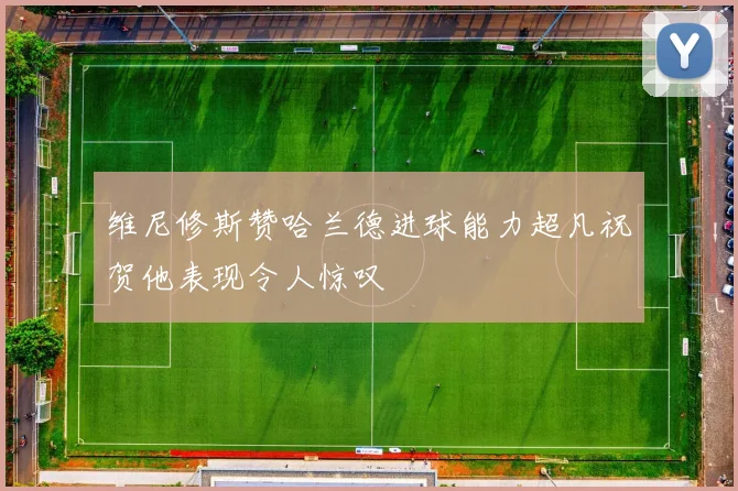 维尼修斯赞哈兰德进球能力超凡祝贺他表现令人惊叹